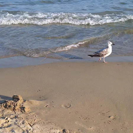 Sea Breeze With Seaview شقة